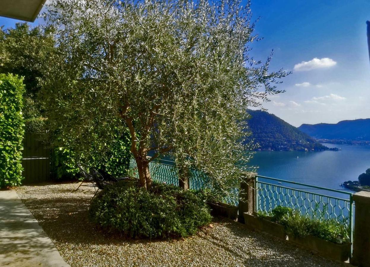 Como Lake Panorama Apartment Sveva Cernobbio Exterior photo