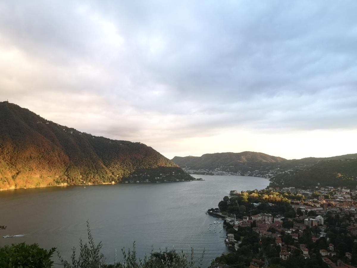 Como Lake Panorama Apartment Sveva Cernobbio Exterior photo
